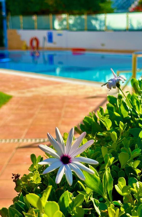 Niriides Apartment คิปปาริสเซีย ภายนอก รูปภาพ