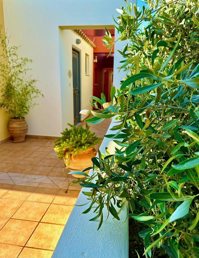 Niriides Apartment คิปปาริสเซีย ภายนอก รูปภาพ